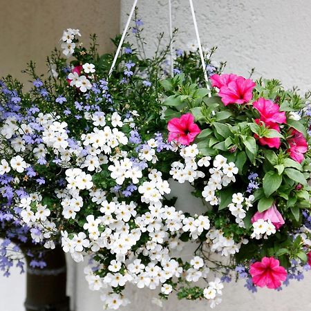 Haus Doerflinger Frau Marianne Apartment Schluchsee Luaran gambar