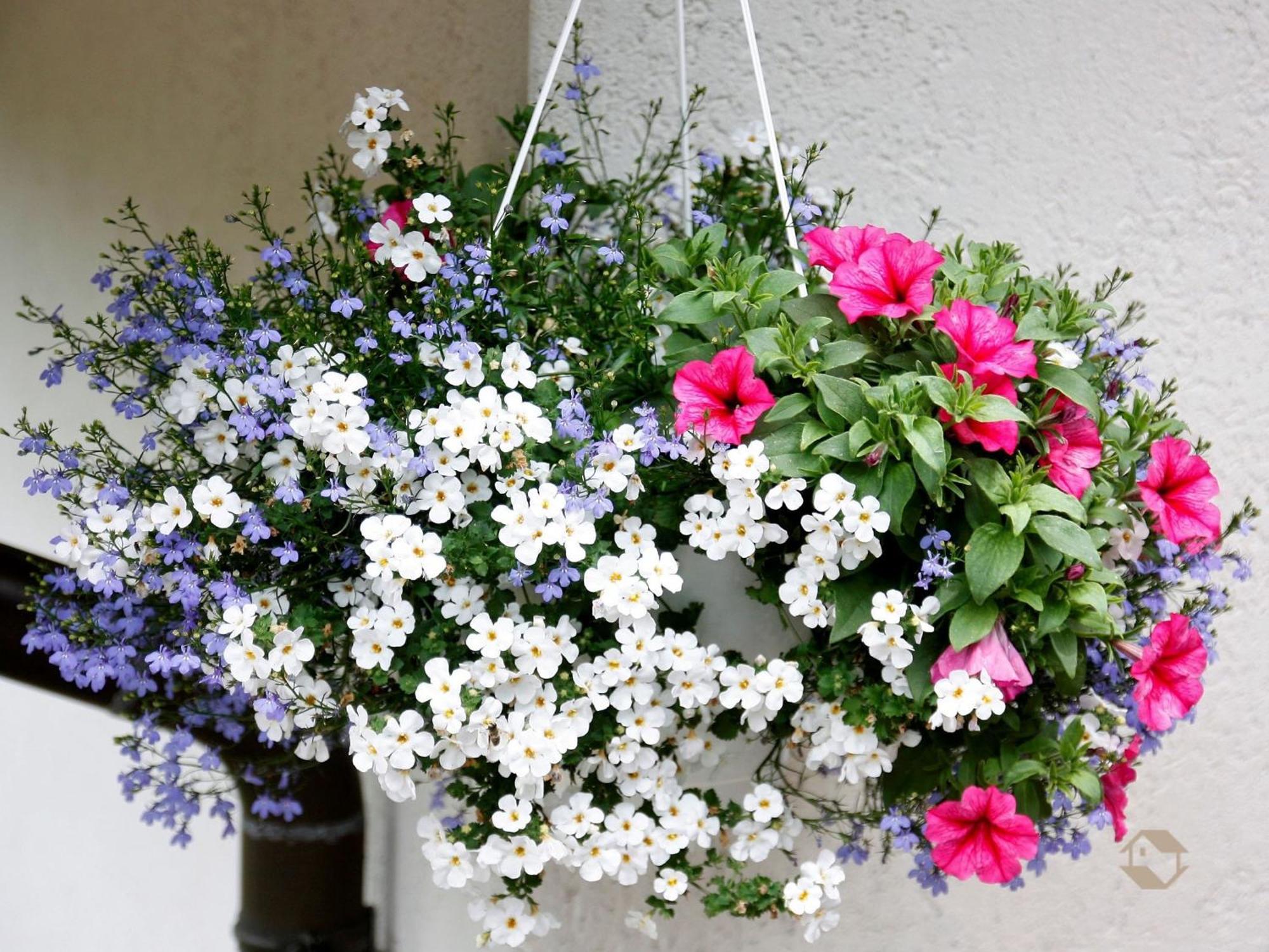 Haus Doerflinger Frau Marianne Apartment Schluchsee Luaran gambar